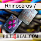 Rhinocéros 7 38